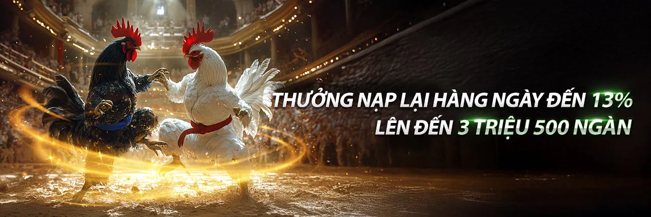Khuyến mãi độc quyền tại RT88 Đăng Nhập
