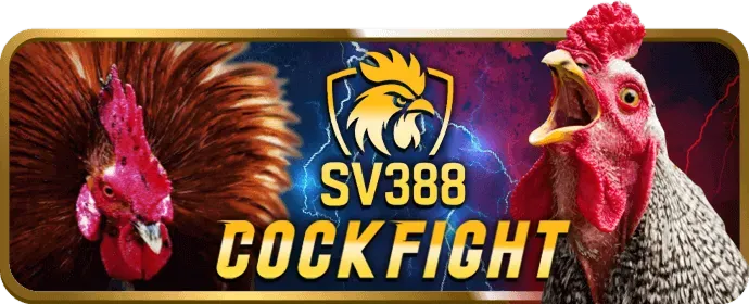 Hình ảnh tổng hợp các môn thể thao khác như eSports, đua ngựa, bóng chuyền, thể hiện sự đa dạng cá cược